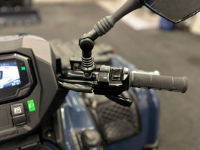 Kawasaki Brute Force