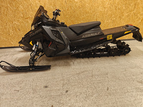 Polaris SwitchBack