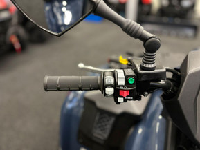 Kawasaki Brute Force