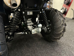 Kawasaki Brute Force