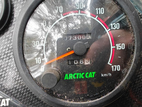 Arctic Cat Pantera