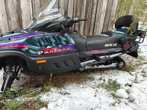 Arctic Cat Pantera
