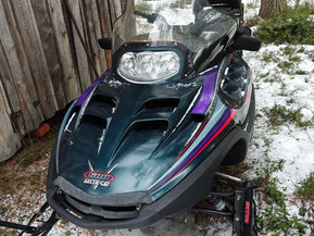 Arctic Cat Pantera
