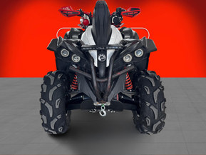 Can-Am renegade