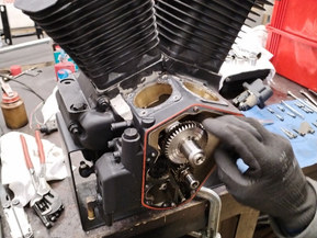 Harley-Davidson Softail