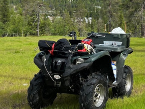 Yamaha Grizzly