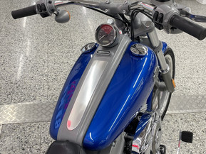 Harley-Davidson Softail