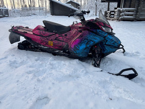 Ski-Doo Renegade