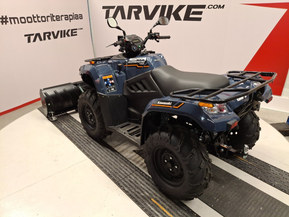 Kawasaki Brute Force