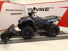 Kawasaki Brute Force