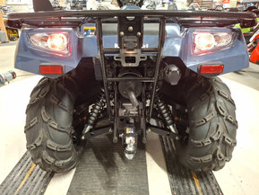 Kawasaki Brute Force