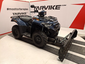 Kawasaki Brute Force