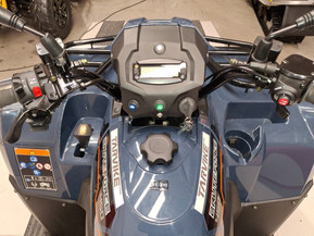 Kawasaki Brute Force