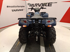 Kawasaki Brute Force