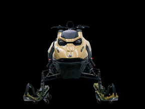 Ski-Doo Freeride