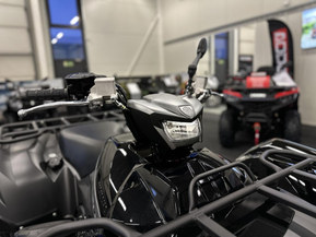 Yamaha Grizzly