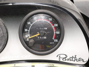 Arctic Cat Panther