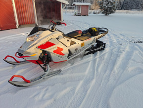 Ski-Doo Freeride