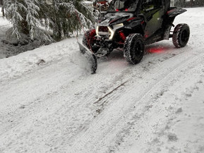 Polaris RZR