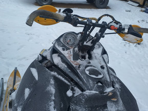 Ski-Doo MX Z