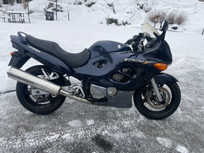 Suzuki GSX