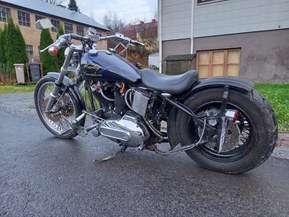 Harley-Davidson Muu malli