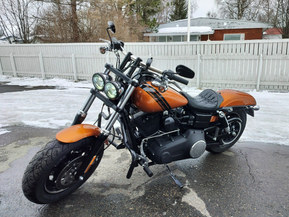 Harley-Davidson Dyna