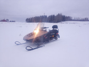 Polaris XLT