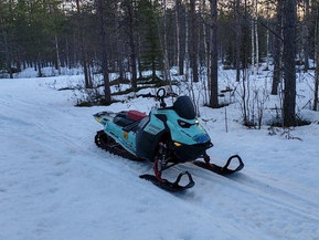 Ski-Doo Freeride