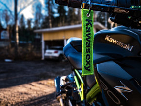 Kawasaki Z