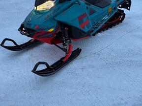 Ski-Doo Freeride