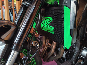 Kawasaki Z