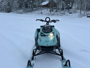 Ski-Doo Freeride