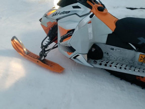 Ski-Doo Renegade