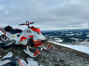 Ski-Doo Freeride