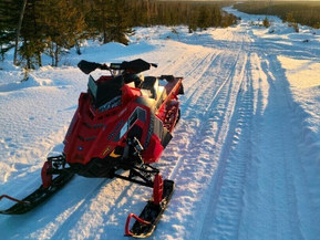 Polaris SwitchBack