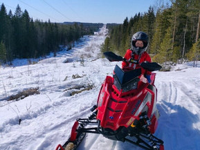 Polaris SwitchBack