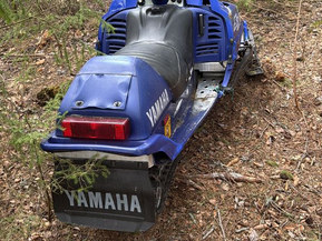 Yamaha SXR
