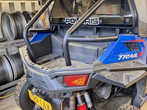 Polaris RZX