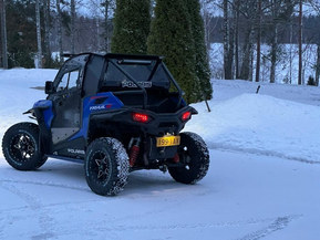 Polaris RZX