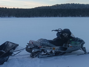 Arctic Cat Mountain Cat