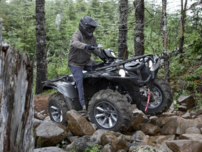 Yamaha Grizzly
