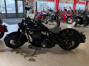 Indian Chief