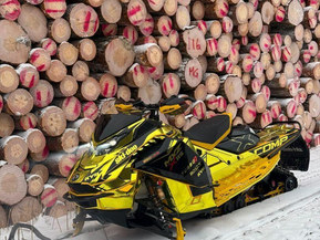 Ski-Doo MX Z