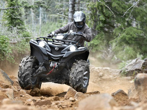 Yamaha Grizzly