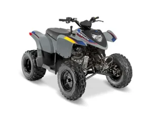 Polaris Phoenix