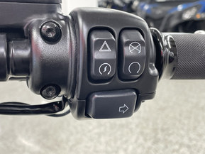 Harley-Davidson Softail