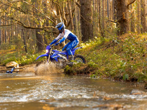 Yamaha WR