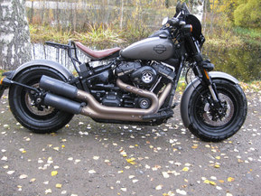 Harley-Davidson Softail
