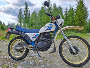 Suzuki DR